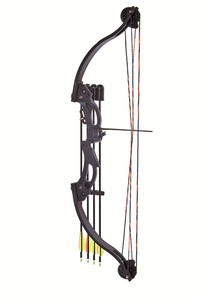 <span class=keywords><strong>Arc</strong></span> composé de flèches, sportif, pour le tir tir à l'<span class=keywords><strong>arc</strong></span> - Product Image 2