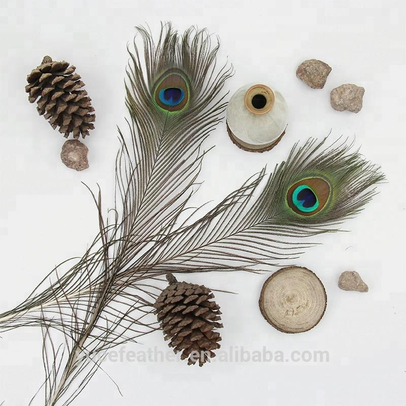 36 inch orchid feathers