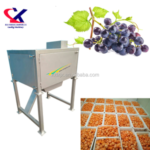 Stainless Steel Grape Seeds Separator Price,  Seed Separator Machine, Separating Seed From Grape/ Tangerine - Product Image 2