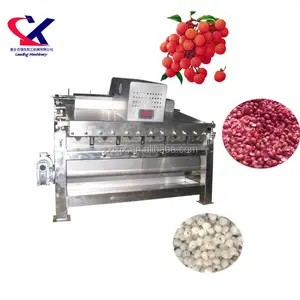 Taiwan Technology For Lychee Peeling Machine, Lychee Fruit Juice Maker Complete Lychee Processing line