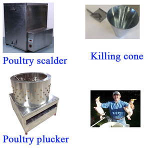 TM-80 En Gros De plumes de Volaille dans le nettoyage machine volaille <span class=keywords><strong>plumant</strong></span> machine de poulet plucker à vendre - Product Image 5