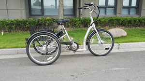 250W électrique <span class=keywords><strong>personne</strong></span> âgée <span class=keywords><strong>3</strong></span> roues tricycle cargo <span class=keywords><strong>pour</strong></span> handicapés famille cargo vélo trike GW-7019E livraison vélo - Product Image 6