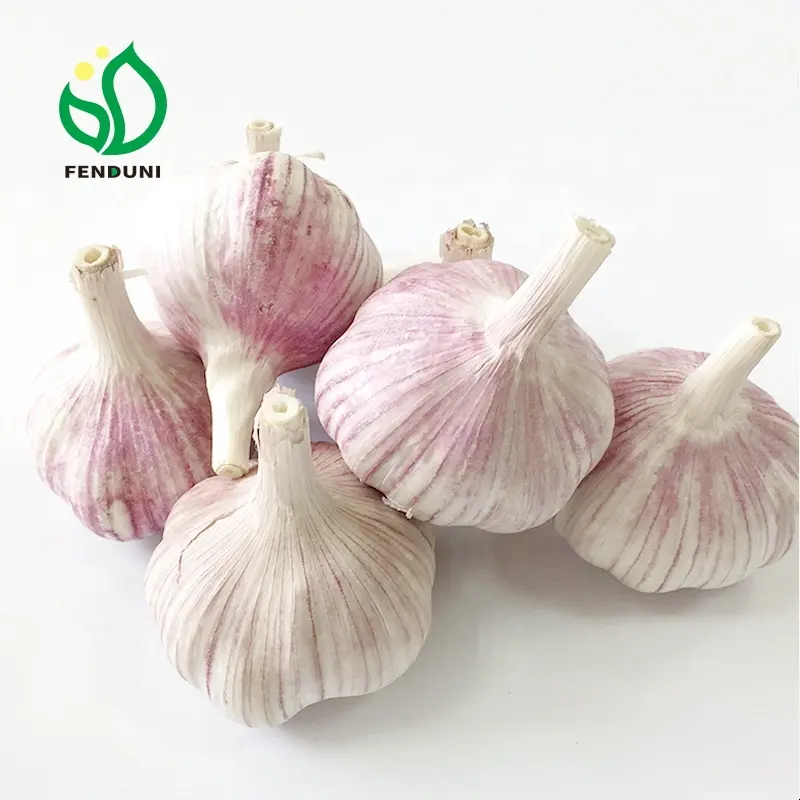Shandong sarımsak, normal beyaz sarımsak 5.0cm ve düşük fiyat, en kaliteli