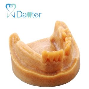 Modello mandibolare dentale in resina Danter con osso cancelloso 6x7x3cm modello A2028 per la pratica dell'impianto nella scienza medica - Product Image 2