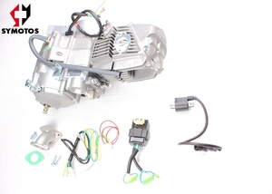 <span class=keywords><strong>Daytona</strong></span> anima 190CC Démarrage du <span class=keywords><strong>moteur</strong></span>, 4 soupapes - Product Image 3