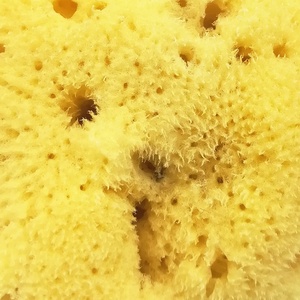 Esponja <span class=keywords><strong>de</strong></span> Baño Natural <span class=keywords><strong>de</strong></span> Seda para el Cuidado <span class=keywords><strong>de</strong></span> la Piel, con Abundante Espuma, para Ducha Facial, Venta al por Mayor con Empaque Personalizado - Product Image 3