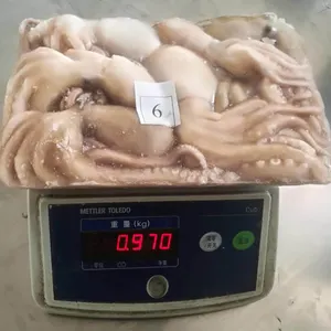 Hot Sale Top Grade Frozen Poulp Squid