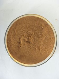 สารสกัดเห็ดหางไก่งวงอินทรีย์ Trametes Versicolor Polysaccharide - Product Image 3