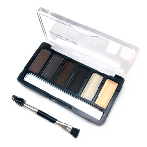 Kit de sobrancelhas 6 cores, tudo em um olho, gel para pó, sobrancelha, fecho com ferramentas de maquiagem, etiqueta privada