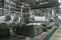 Ligne de Production de fibres agrafes de m, en Polyester, Fiber creuse, pour animaux de compagnie