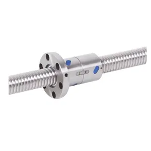 G.GD Series BTP Ball Screw Pair (With Nuts)