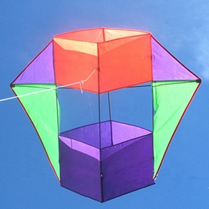 hot sale 3D box kite tridimensional style solid kite from the kite factory with OEM ODM design