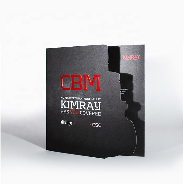 Пользовательские Оптовые вкладыши/Листовка/каталоги/услуги печати