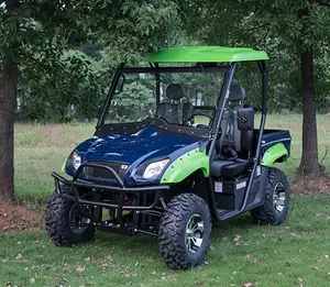 2019 Yeşil Yeni Enerji EEC Onaylı Elektrik UTV 4X4