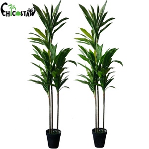 Meubles Décoration Artificielle Dracaena Fragrans Artificielle Brésil Plantes À Vendre Plantes Artificielles Arbustes En Plastique - Product Image 2