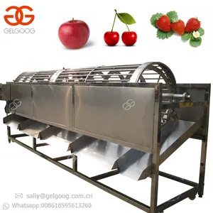 Hot Verkoop Optische Maat Gewicht Blueberry Litchi Datum Grading Tomaat Fruit Groente Sorter Apple Aardappel Fruit Sorteren Machine