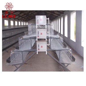 Bon prix, cages à poules de type A à 4 niveaux, cages à poules pondeuses, équipements d'élevage avicole usagés - Product Image 6