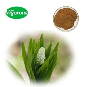 High quality 10:1 False Unicorn Root powder Chamaelirium luteum herb Extract