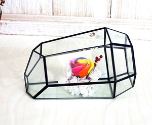 Goldene schwarze Hochzeit Tisch dekoration, Innen garten, klare strukturierte Glas pflanze klares Glas geometrische <span class=keywords><strong>Terrarium</strong></span> Box - Product Image 5