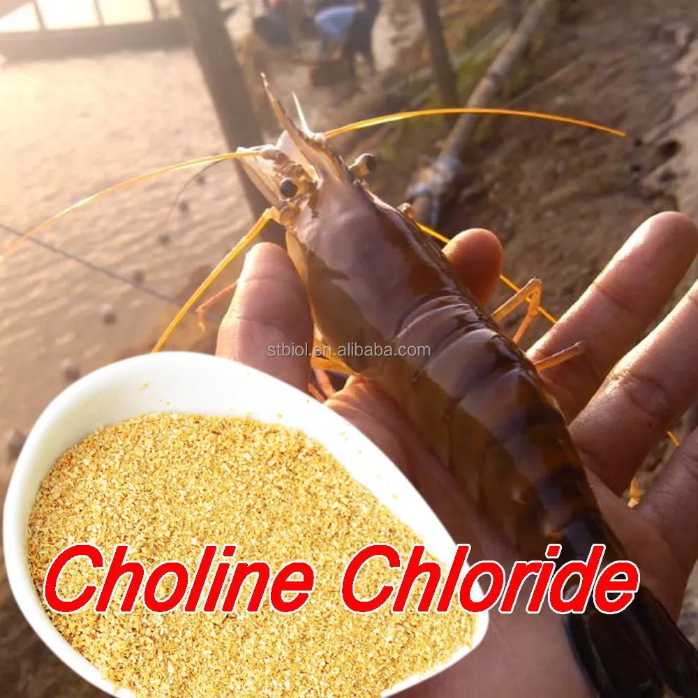 Quy Trình Sản Xuất Choline Chloride
