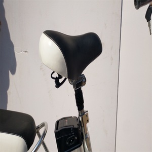Bicicleta Eléctrica 250 <span class=keywords><strong>W</strong></span> kits/ciclo eléctrico India precio/de fibra de carbono en bicicleta eléctrica - Product Image 3