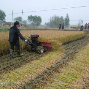Multifuncional pequeña escala <span class=keywords><strong>de</strong></span> cultivo <span class=keywords><strong>de</strong></span> cereales cosechadora - Product Image 2