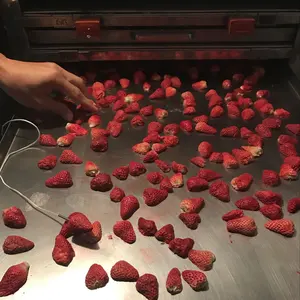 JK-FD-50N 500 kg gewicht lebensmittel einfrieren trockner maschine für einfrieren getrocknete erdbeere