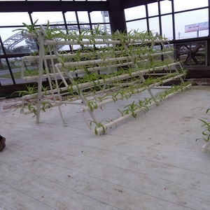 Sistema Hidropónico NFT de Gran Escala para Cultivo de Tomate y Pimiento - Product Image 4