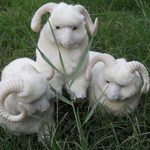 Mini conception miniature fat moutons <span class=keywords><strong>queue</strong></span> - Product Image 6