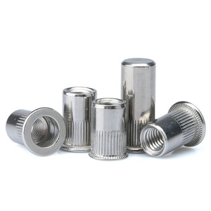 A2 A4 Stainless Steel Thread Insert Flat Head Round Body Close End Blind <strong>Rivet</strong> <strong>Nut</strong> - Product Image 6