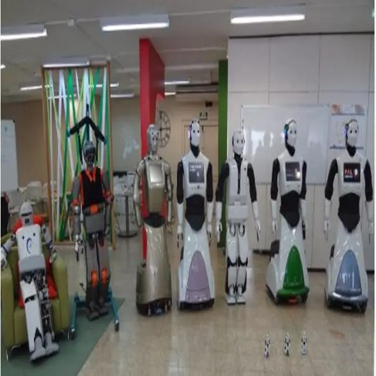 Profession eller Rapid Prototyping-Service für kunden spezifische Roboter teile