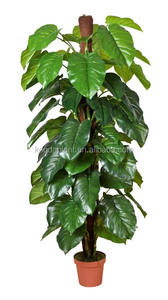 Tipos <span class=keywords><strong>de</strong></span> plantas ornamentales, <span class=keywords><strong>de</strong></span> plástico artificial decoración <span class=keywords><strong>de</strong></span> interior planta árboles - Product Image 4