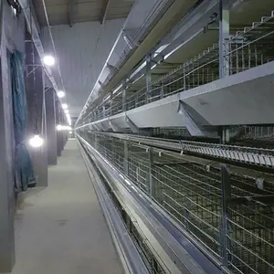 Ghana best selling chicken laying hen cages chicken layer cage