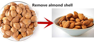 300 kg/h hazel nueces de bombardeo de roto el <span class=keywords><strong>precio</strong></span> de la máquina - Product Image 4
