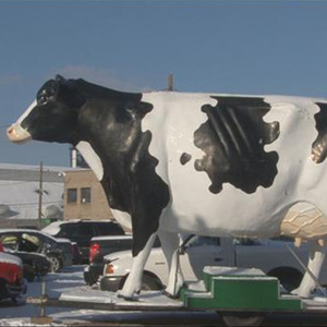 Decoration Animal Cow <strong>Life</strong> <strong>Size</strong> Fiberglass <strong>Statue</strong> for Park - Product Image 3