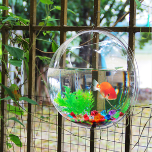 Acquario <span class=keywords><strong>da</strong></span> <span class=keywords><strong>Parete</strong></span> in Acrilico, Vasca per <span class=keywords><strong>Pesci</strong></span>, Accessori per Animali Acquatici, Prodotti per Animali, Acquario <span class=keywords><strong>da</strong></span> <span class=keywords><strong>Parete</strong></span> per <span class=keywords><strong>Pesci</strong></span> Betta - Product Image 3