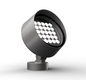 Shanghai Shylon smalle bundel 24 w dmx rgb led schijnwerper