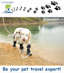 Hot sale <span class=keywords><strong>pet</strong></span> products dog soft shoes outdoor waterproof dog socks dog shoes - Product Image 1