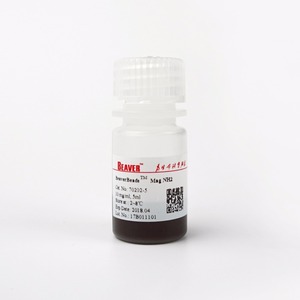 Từ siêu thuận Hạt (-NH2) 500nm cho ràng buộc protein, polypeptide, oligomeric nucleotide và thuốc phân tử - Product Image 1