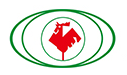 Anhui Hengchang New Material Co., Ltd. logo