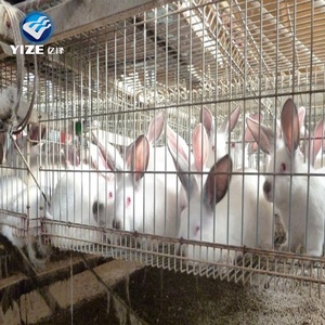 Prix d'usine Grande <span class=keywords><strong>cage</strong></span> à lapins à 12 cages pour élevage au Kenya - Product Image 4