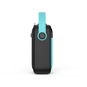 Mini portátil de 25 W multifuncional <span class=keywords><strong>Karaoke</strong></span> altavoz FM radio <span class=keywords><strong>Azul</strong></span> diente 5,0 altavoz - Product Image 5