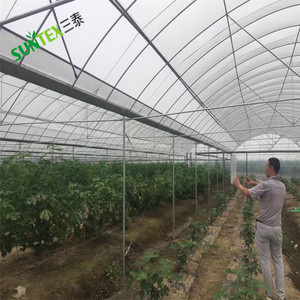 Film plastique transparent <span class=keywords><strong>pour</strong></span> serre, résistant, 6 mil, protégé contre les UV, en polyéthylène, <span class=keywords><strong>pour</strong></span> l'hivernage et l'entretien des jardins - Product Image 6