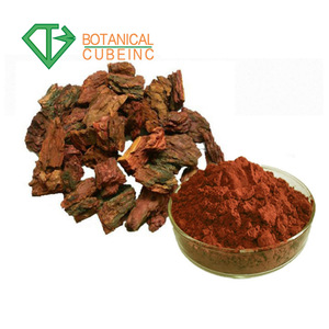 Thực vật Tự Nhiên Pine Bark Số Lượng Lớn <span class=keywords><strong>Proanthocyanidins</strong></span> 95% <span class=keywords><strong>OPC</strong></span> Pháp Pine Bark Extract Bột - Product Image 4