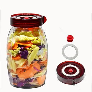 Essiggurken Frucht enzym Fermentation sglas Einmach glas