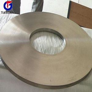 <span class=keywords><strong>Ta11</strong></span> Ta12 <span class=keywords><strong>Titanium</strong></span> Gesmede Ring - Product Image 4