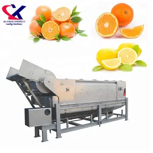 High Quality Automatic Fruit Orange Oil Extracting Machinery, Oil Milling Machine 5000kg/h Oil Extraction Equipment