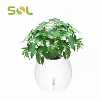 Натуральный увлажнитель воздуха SOL для самополива растений, умный комнатный садовый экологический отрицательный анион, цветочные горшки