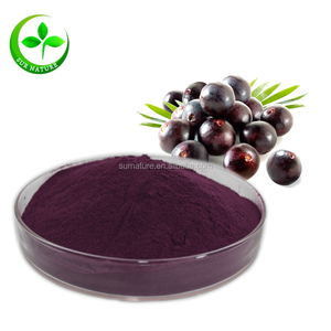 100% <strong>Pure</strong> <strong>Acai</strong> <strong>Berry</strong> <strong>Extract</strong> Powder - Product Image 2