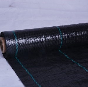 Haute qualité tapis de mauvaises herbes/couvre-sol en <span class=keywords><strong>plastique</strong></span>/paillis de <span class=keywords><strong>plastique</strong></span> <span class=keywords><strong>noir</strong></span> - Product Image 3